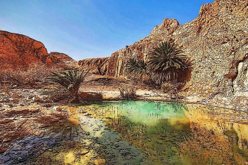 Tozeur Oasis