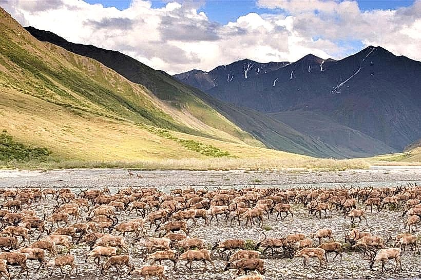 Arctic National Wildlife Refuge