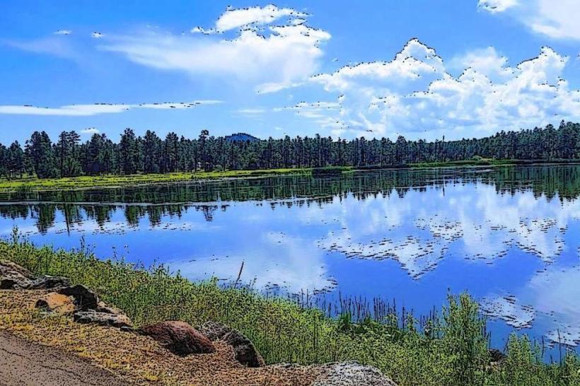 Woodland Lake Park