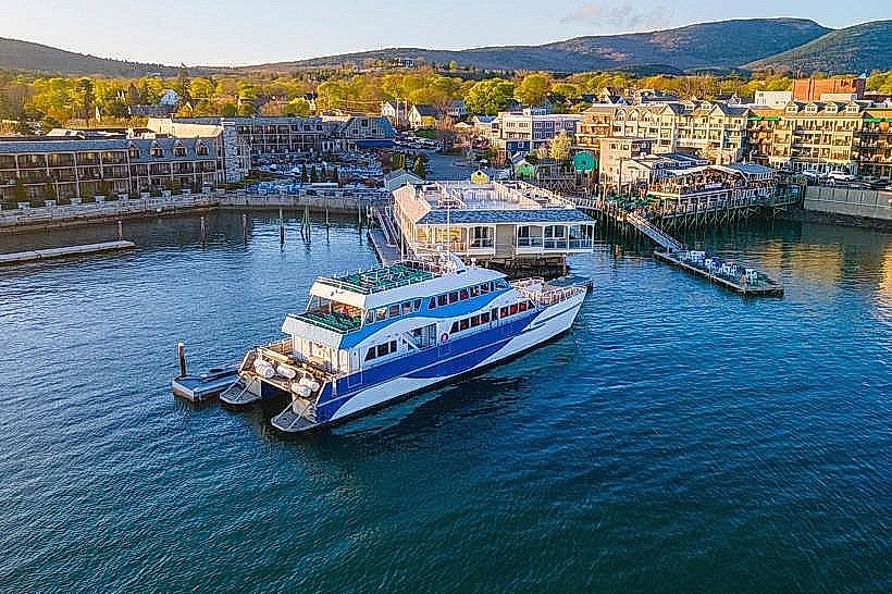 Bar Harbor Whale Watch Company