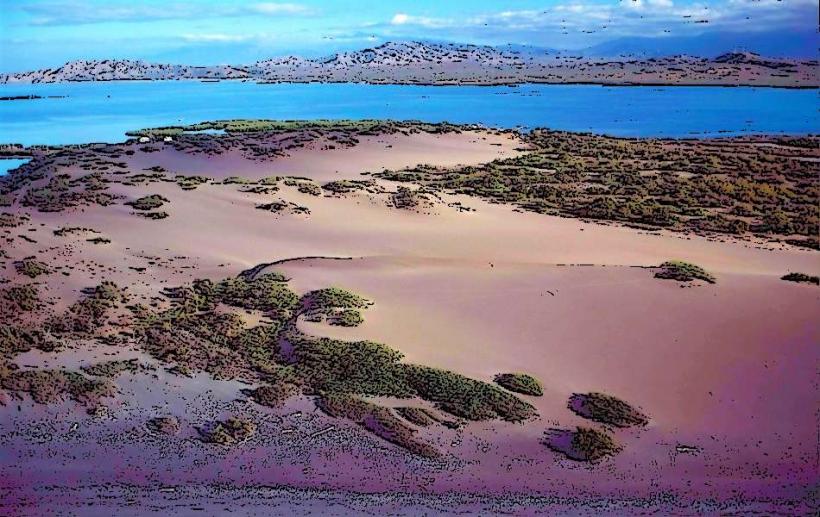 Bani Dunes