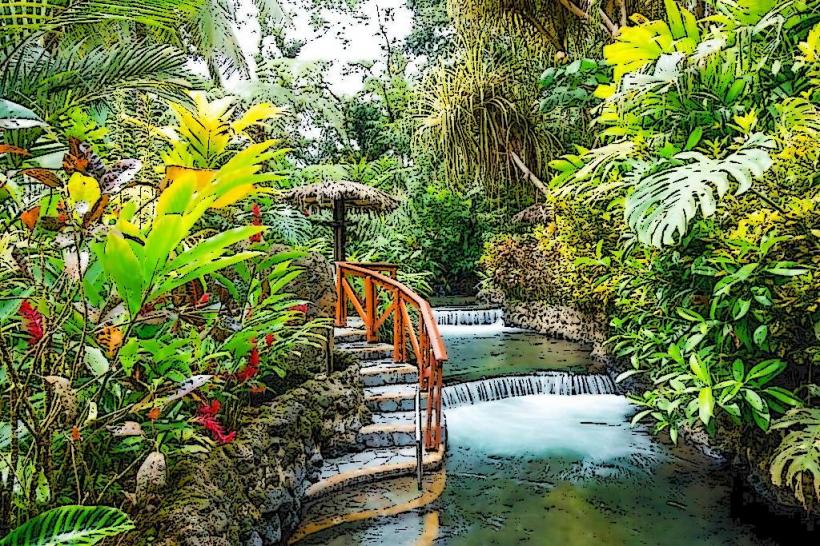 Spirogyra Butterfly Garden