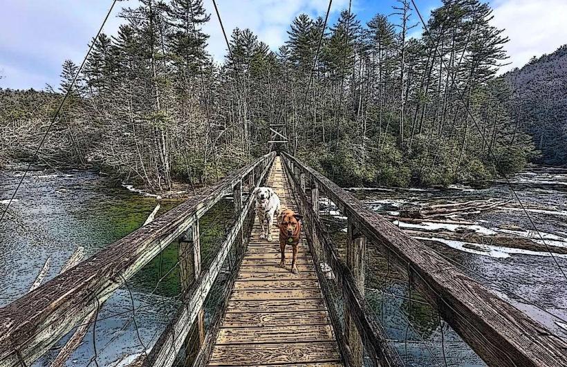 Toccoa River Swinging Bridge