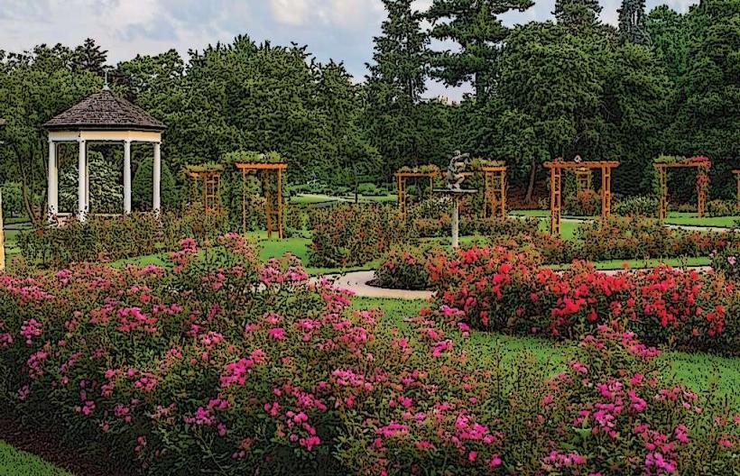 Bethlehem Rose Garden