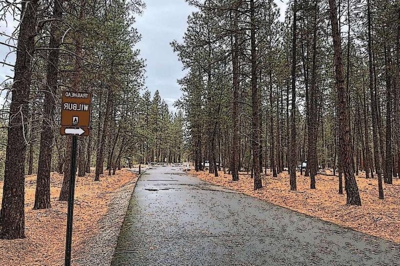 Centennial Trail