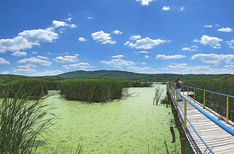 Reserva de la Naturaleza Arkutino (Bear Swamp)