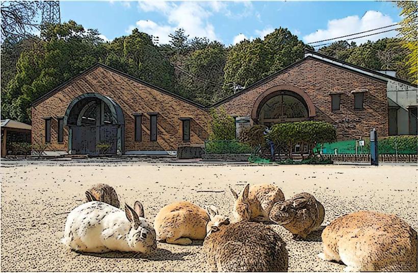 Okunoshima Island (Rabbit Island)