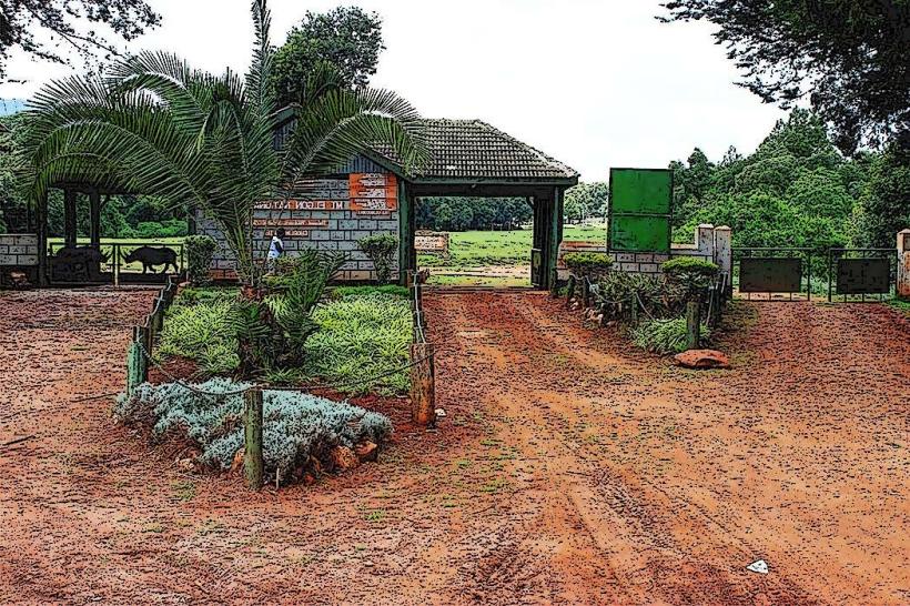 Mount Elgon National Park
