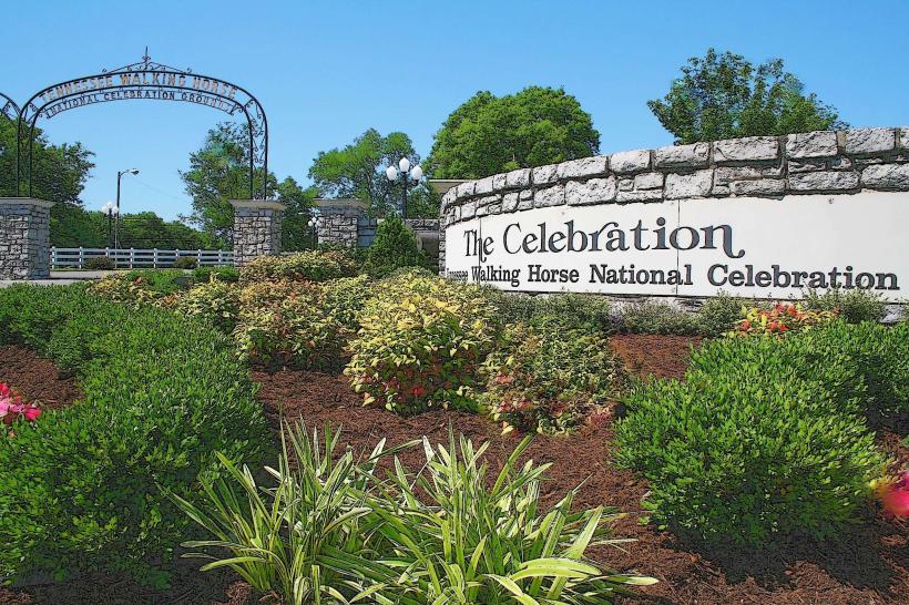 Tennessee Walking Horse National Celebration