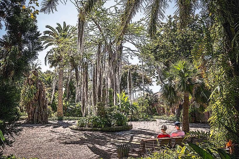 Tenerife Botánico