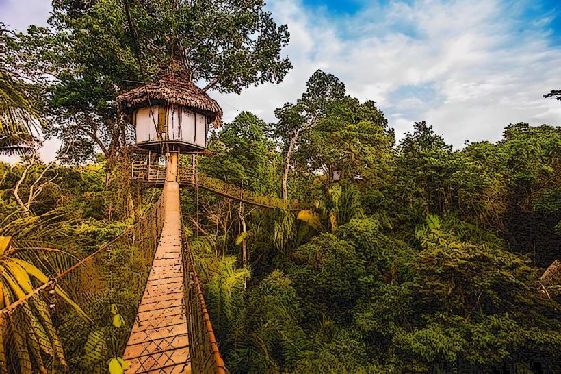 Пътеката на Amazon River