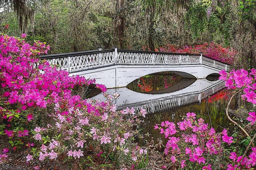 Magnolia Plantation and Gardens