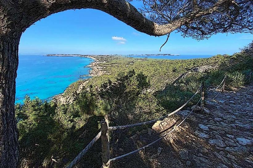 Can Marroig Natural Reserve