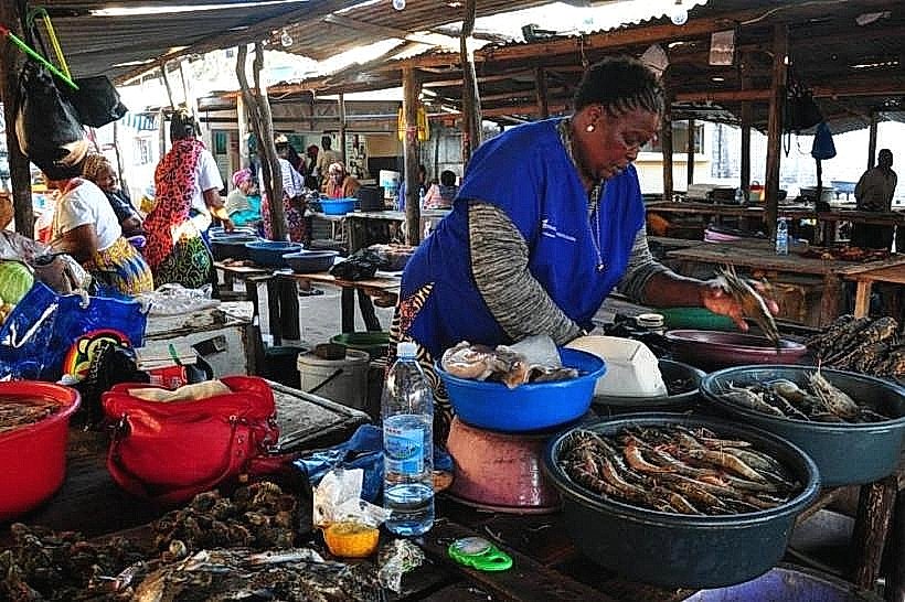 Maputo Fish Market
