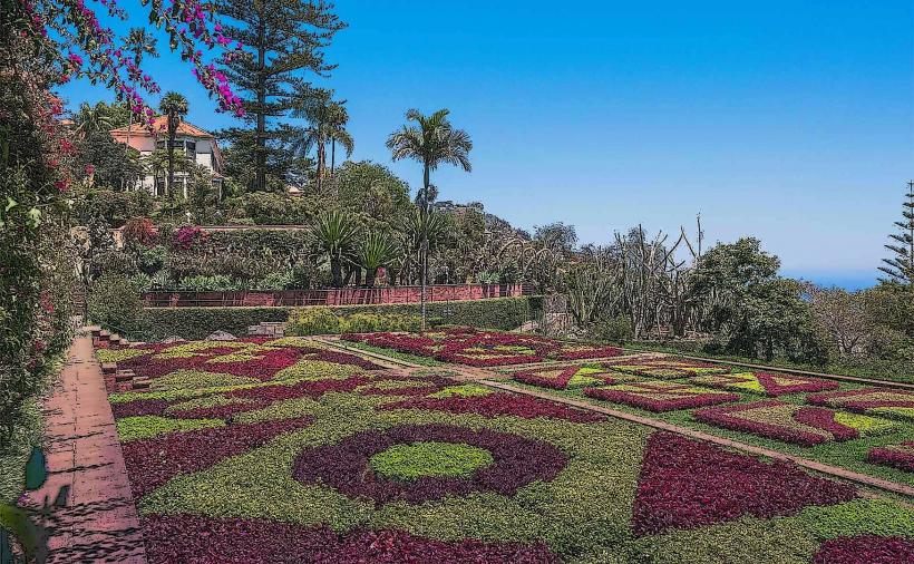 Jardim Botanico da Madeira