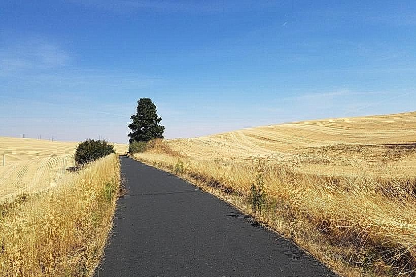 Latah Trail