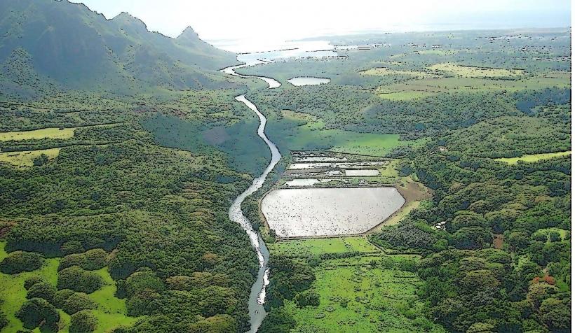 Huleia National Wildlife Refuge