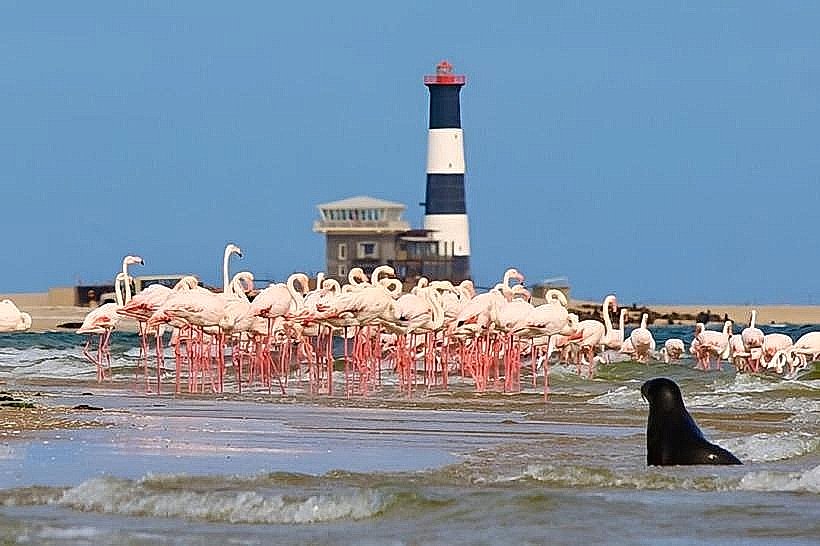 Pelican Point Lighthouse