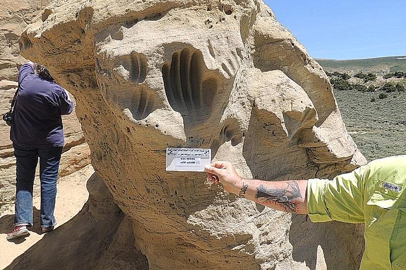 White Mountain Petroglyphs