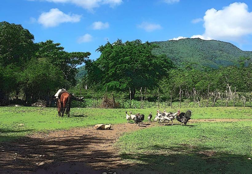 Rancho Lorilar