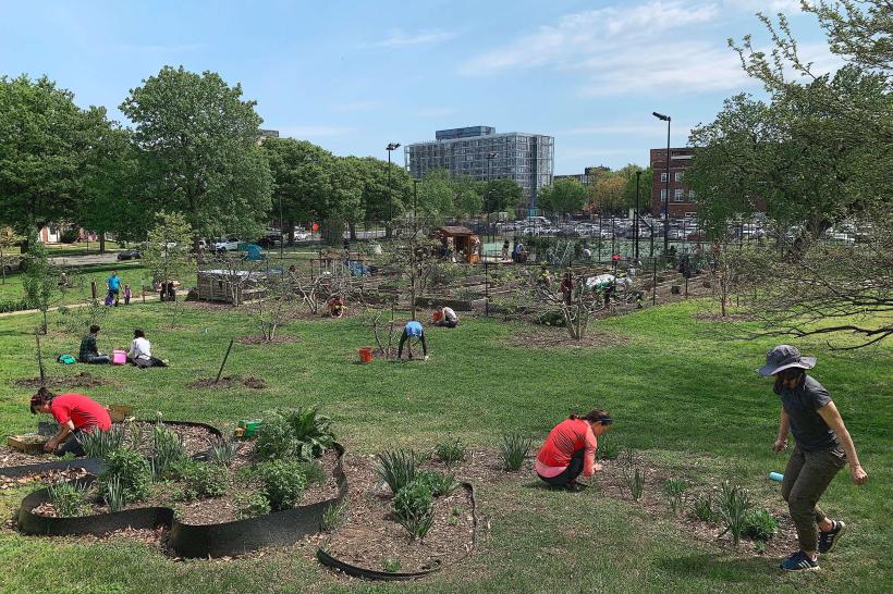 Southwest Community Gardens е динамично градско зелено пространство разположено в