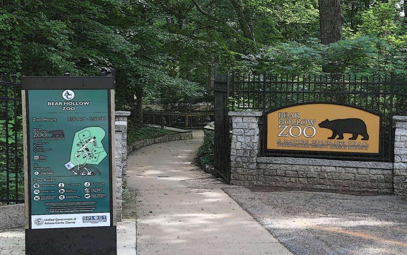 Bear Hollow Zoo