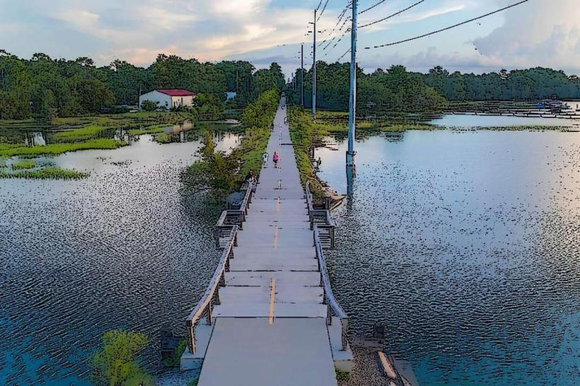 Spanish Moss Trail