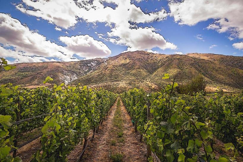 Gibbston Valley Wine Region