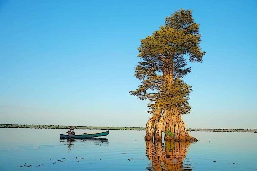 Great Dismal Swamp National Wildlife Refuge