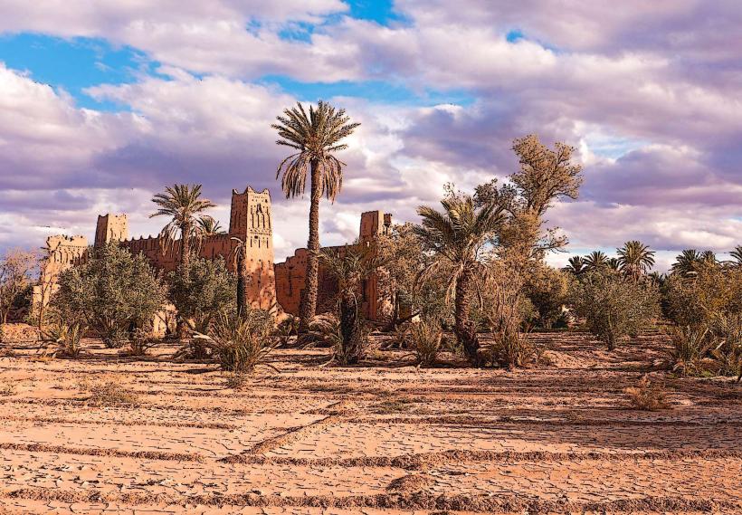 Skoura Oasis е пищна спокойна палмова горичка разположена около 40