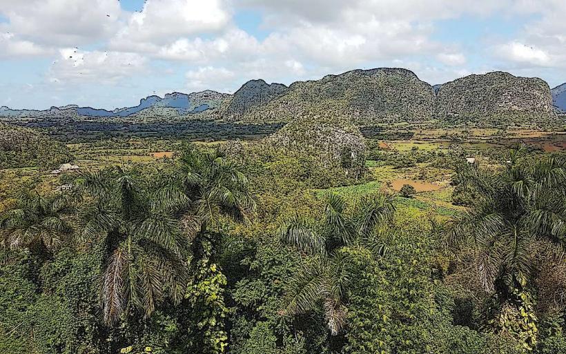 Mirador de los Jazmines