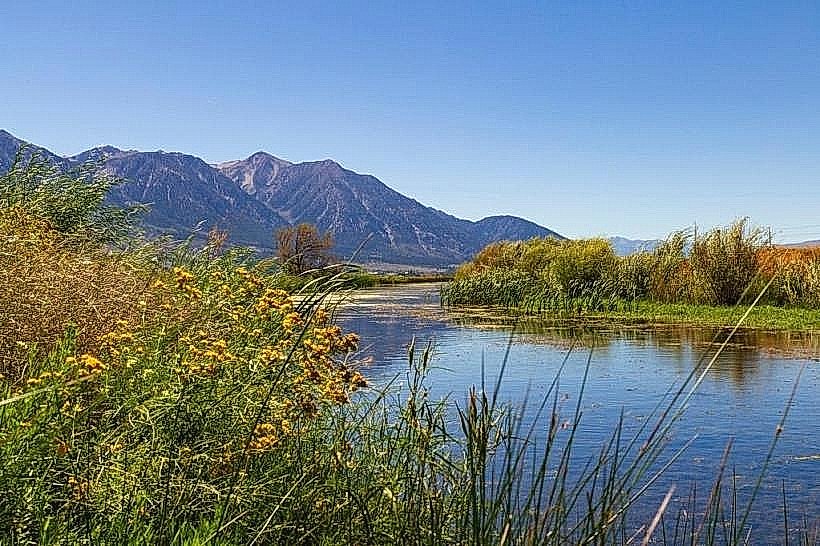 Pinenut Mountains
