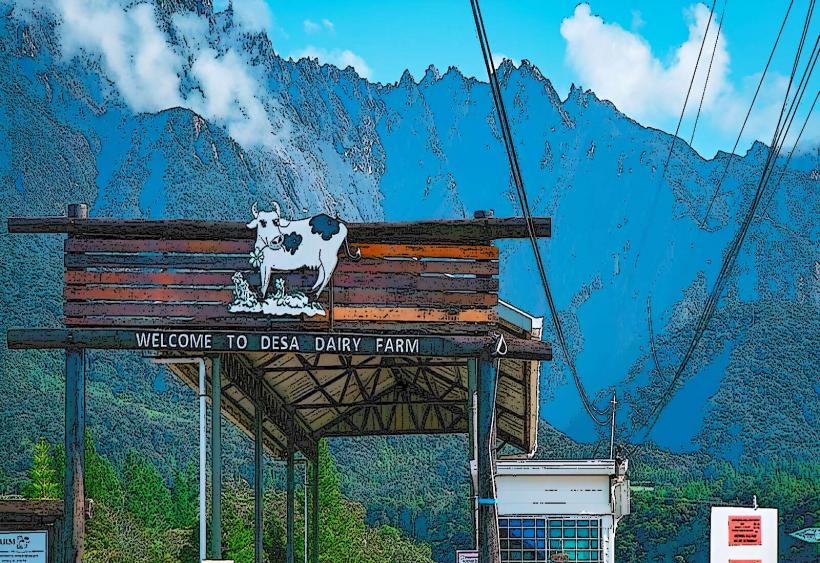 Desa Dairy Farm е популярна туристическа атракция разположена в Sabah