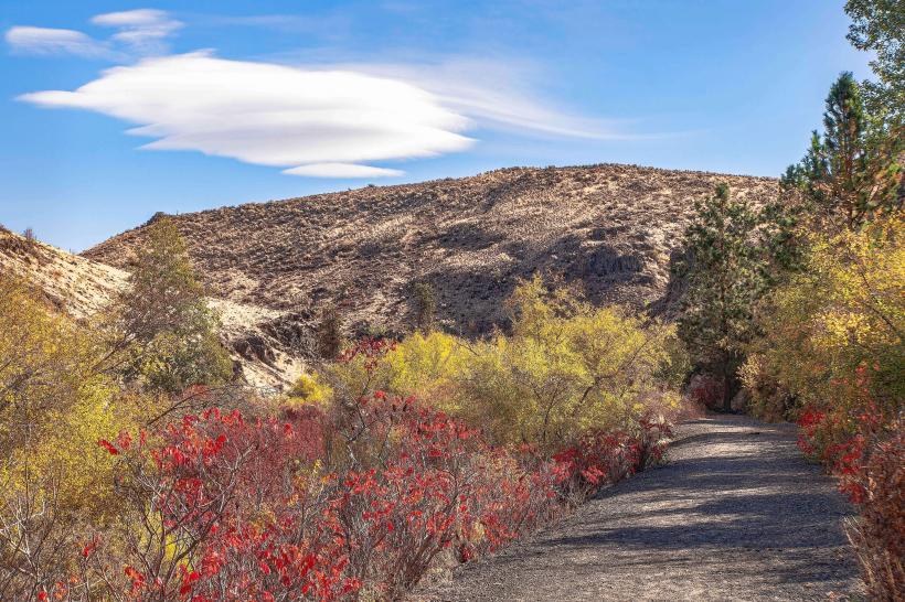 Cowiche Canyon Trail System