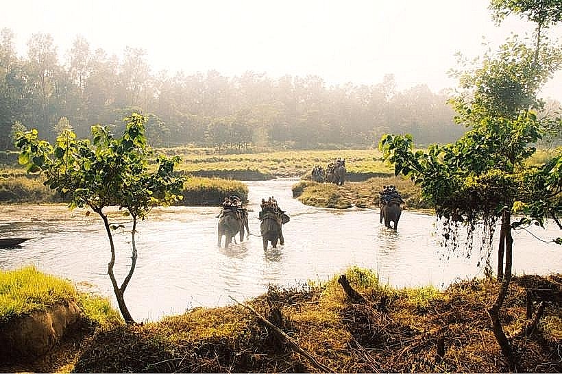 Sauraha