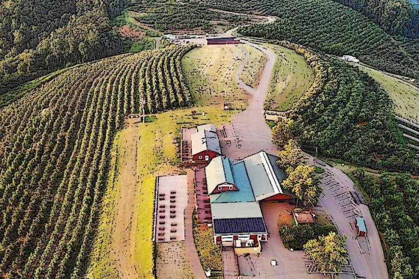 Carter Mountain Orchard