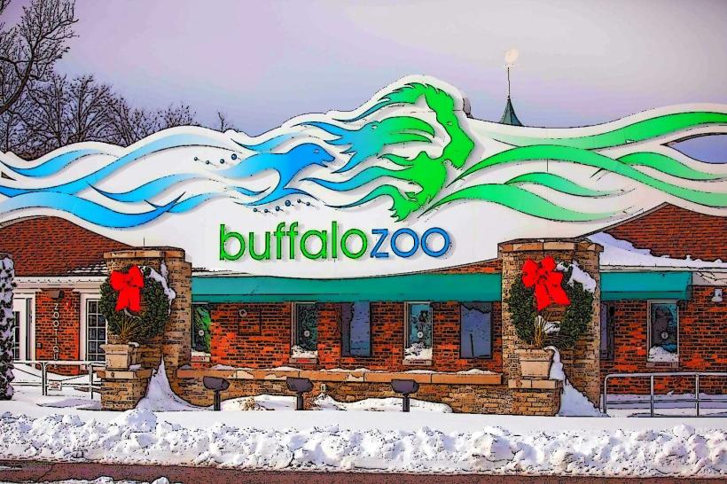 Buffalo Zoo