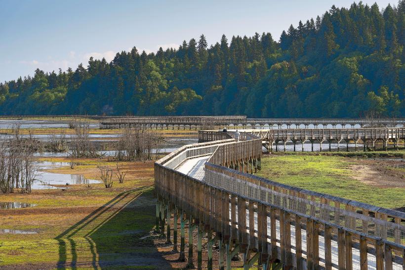 Billy Frank Jr. Nisqually National Wildlife Refuge