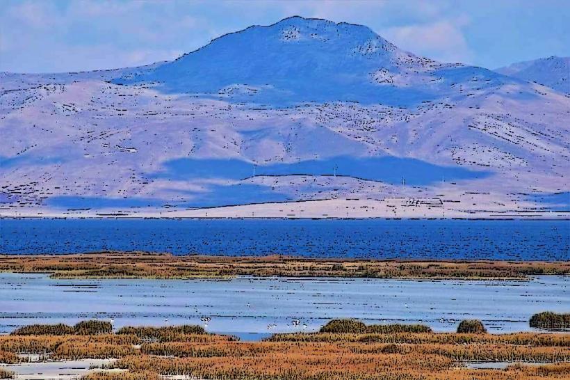 Lake Junín (Chinchaycocha)