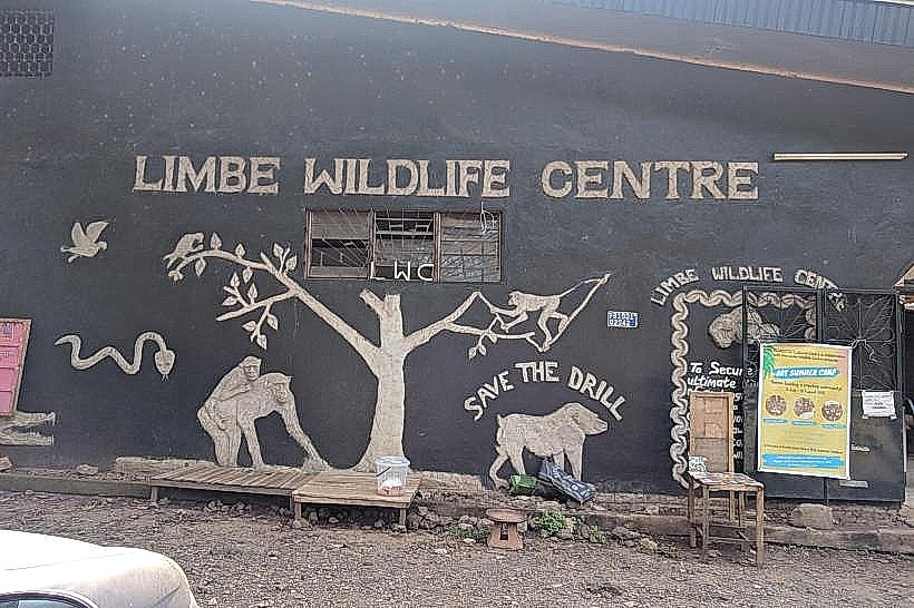 Limbe Wildlife Centre