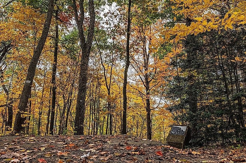WVU Core Arboretum