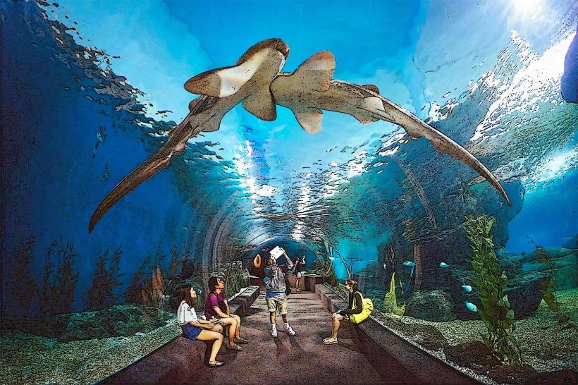 Underwater World Pattaya