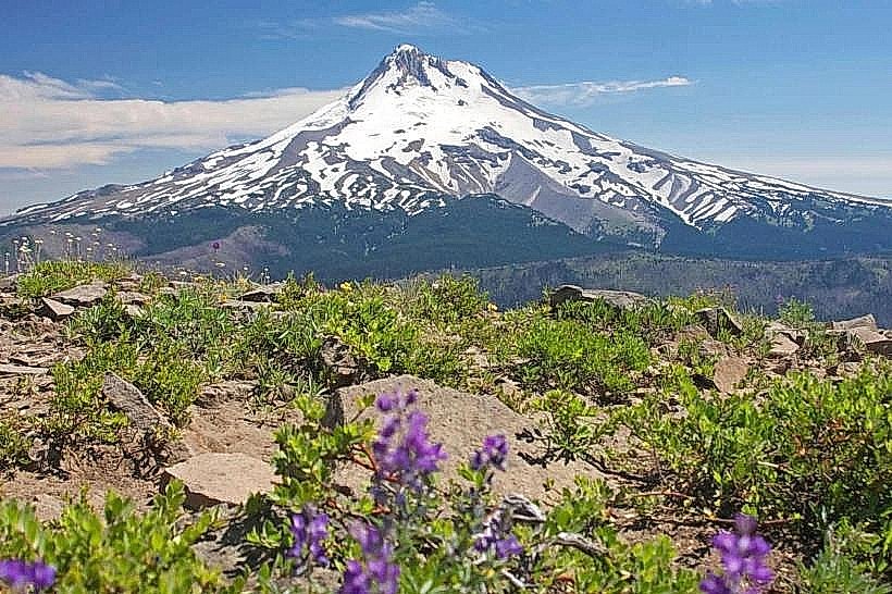 Mount Hood National Forest