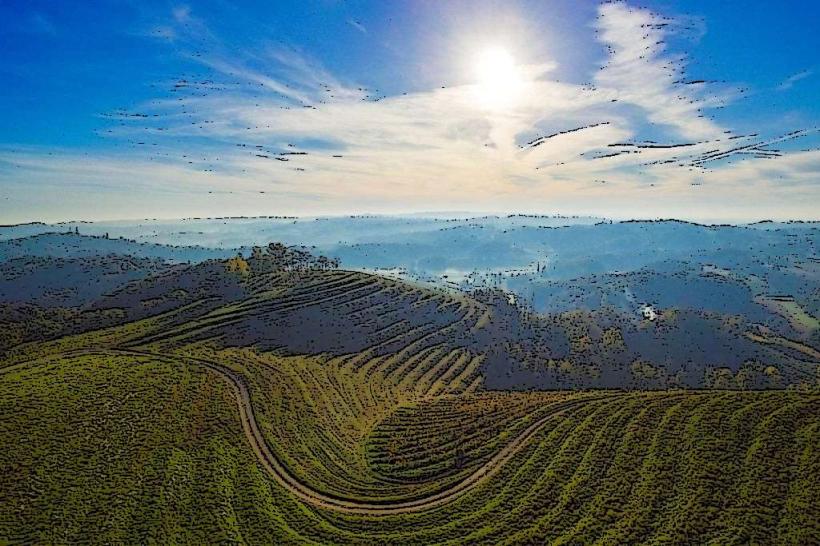 Međimurje Wine Region