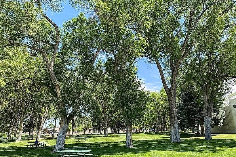 Elko City Park