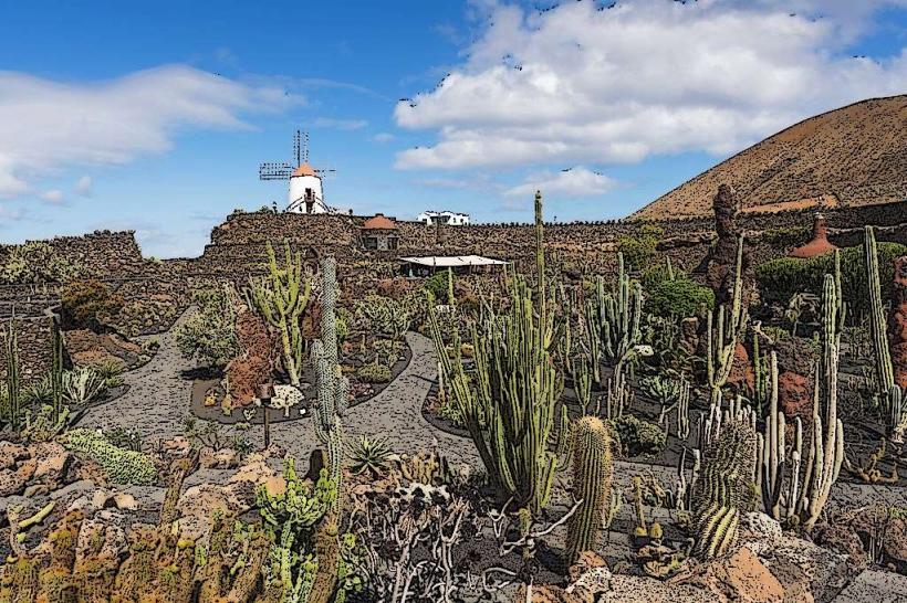 Cactus Garden (Jardín de Cactus)