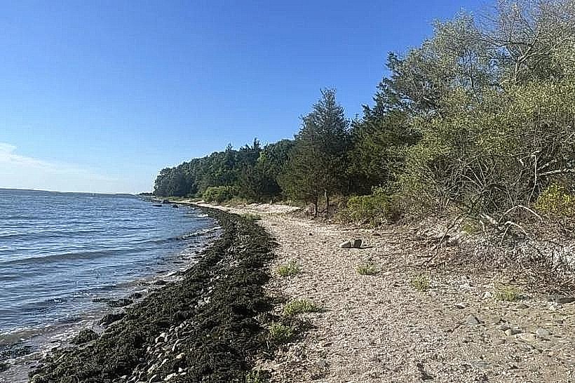 Rome Point