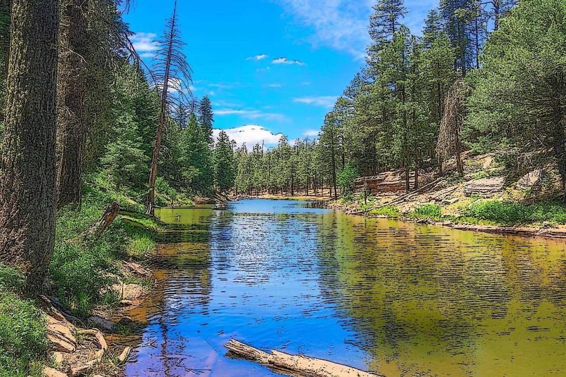 Apache-Sitgreaves National Forest