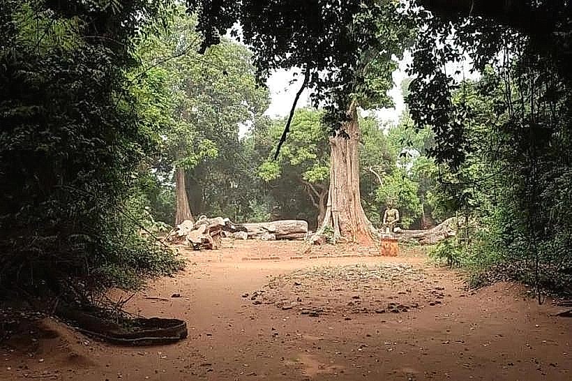 Sacred Forest of Kpasse