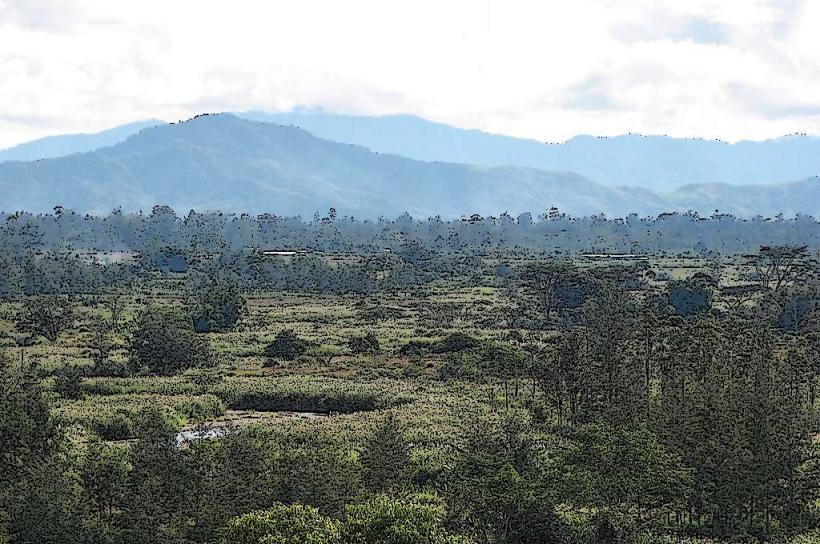 Wahgi Valley